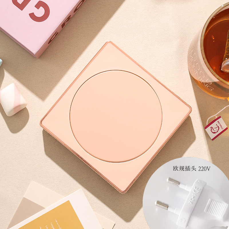 산수유 분말 유럽 표준 220V