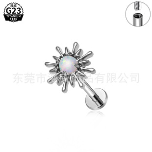 G23⁺Ͻ��ᔚW���羳��đ�W��F136⁶�����w���̶�΁ᔶ����