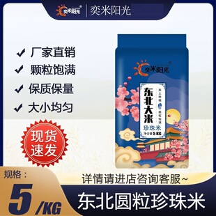 ����ꖹ�P�\з����10�ﮔ�����׈A�����ז|������5kg�b������1��