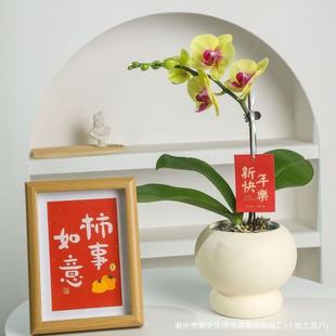 �մ��p�ݸ߼��м��Ä���Wʽ���s�̨�͏d�����m�������ԾGֲ����