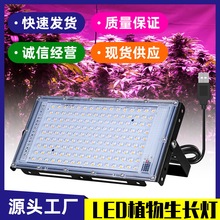 LEDֲͶ@ɫa҃ȾGֲkNֲվSֱ