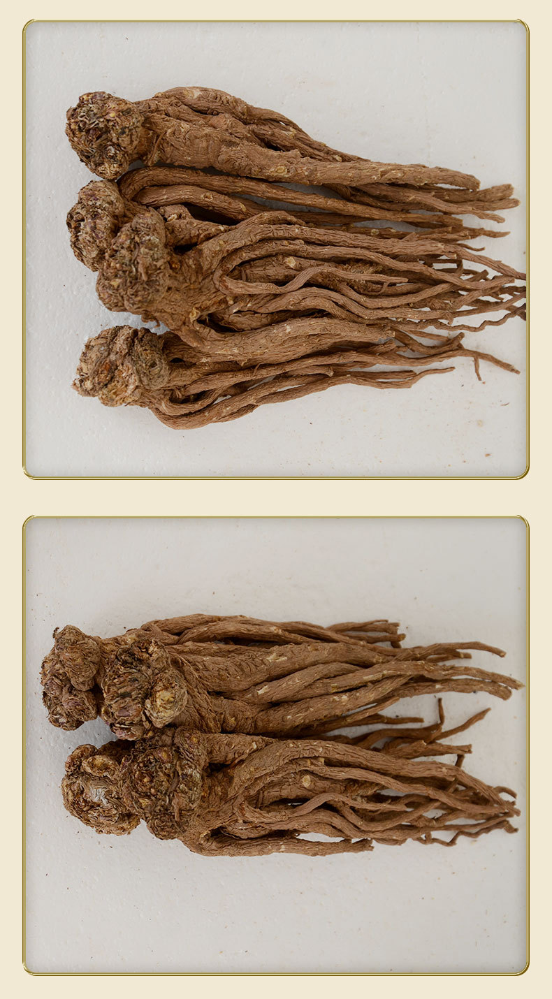 Premium Dang Gui from Dingxi Min County, Large and Medium-Sized Whole Roots, Sulfur-Free, New Stock, at Prices detail image