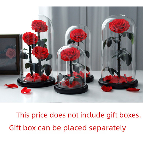 Cross-border Eternal Rose Flowers, Real Blossoms in a Glass Dome—Perfect Birthday or Qixi Festival Gift for Her, Exuding Sophisticated Elegance