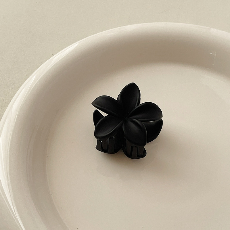 Elegant Lady Women's Flower Fish Shark Plastic Hair Clip Hair Claws display picture 16