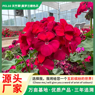 �S��ֱ�N�ļ��_�����ÿ������ذ����ÿ����N���̨ͥԺ��������