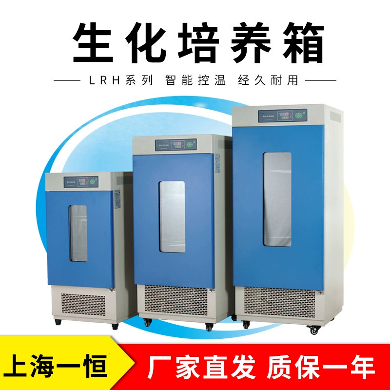 Шанхай Yiheng LRH-250 Биохимический инкубатор