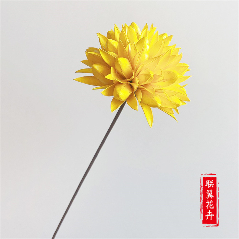 Flores Secas de Magnolia de Yunnan, Ramo de Magnolia de Mil Lengua, Flores Secas Combinadas, Decoración Suave para el Hogar, Fabricante de Ramos, Venta al por Mayor