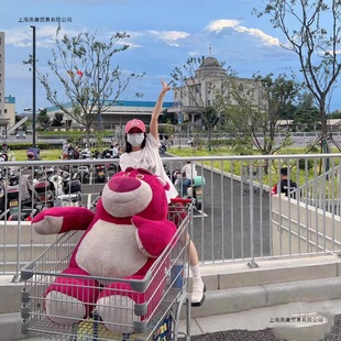 ��ݮ�ܹ��г���̖��ż˯�X��������ζ��ë�q����������նY��Ů��