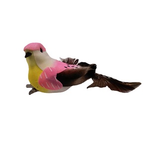 ������B����ë��ɫ�����B�}�Q�b������b�