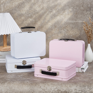 Portable Iron Box Lunch Box Tableware Gift Packaging Children's Toy Lock Gift Box Underwear Clothing Accessories Boutique Box