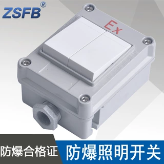 SWB-10A/IIS防爆照明开关二开双开单控双控电流10A电压220V铝合金