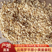 云南罗平小黄姜姜粒蒸汽烘干原色原味姜粒小黄姜脱水姜粒味道浓郁