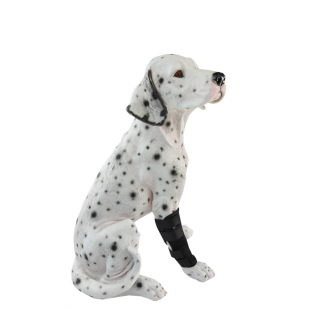 Dog Knee Pad Injury Protective Cover Dog Leg Fracture Fixation Protective Pet Front and Rear Leg Bracket Auxiliary Belt