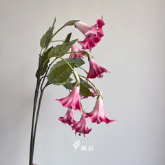 垂れ下がった感じの2頭のPU曼荼羅は花の家の装飾の写真を撮影します。