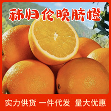 精品伦晚脐橙橙橙子5/9斤新鲜水果当季整箱正宗高山大果皮薄多汁