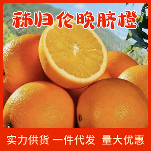 ��Ʒ����Ě�ȳȳ���5/9�����rˮ�������������ڸ�ɽ���Ƥ����֭