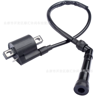 ATV for YAMAHA GRIZZLY 450 YFM125 YFM45F YFM600 high voltage package ignition coil (Alovlanma bobini (Babinalar))