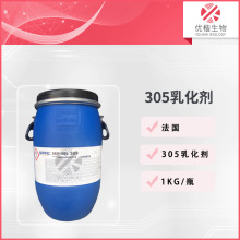 ِȿ 305黯 ۱ϩ/Ҷϩ ˪