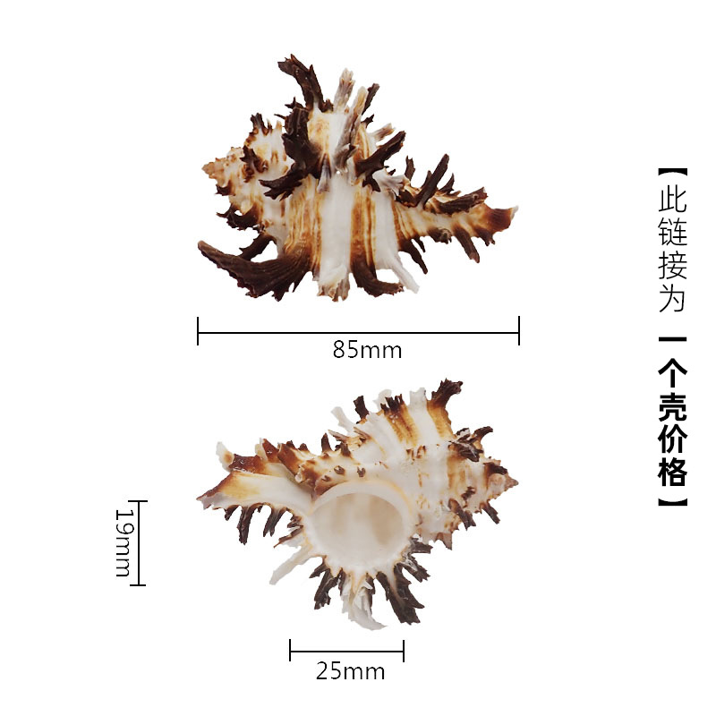 3-4cm 게에 적합한 블루 x66 블랙 고대 천개의 손