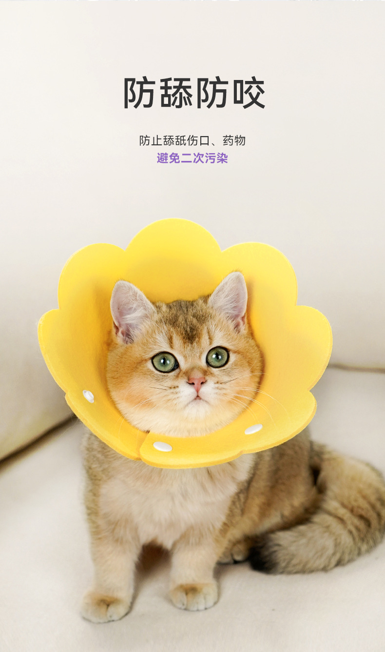 EVA伊丽莎白圈详情页_06