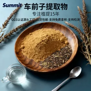 车前子提取物水溶性工厂现货包邮可免费试样可商检车前子提取物