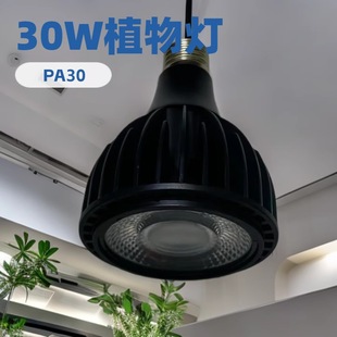 Full-Spectrum 30W Grow Light for Succulents, Dragon Fruit, Flower Greenhouse Planting, Fish Tank, Medicinal Plants, E27, Specifically for Succulents