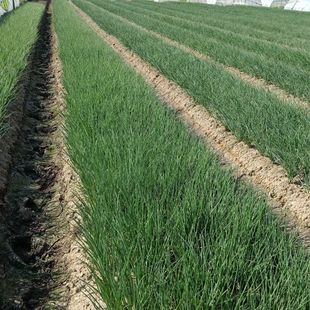 �ļ�����С���[�N����Ʒ�N�ֶ�����[�ѷN�����̨ɽ�|�[�N���߲�