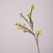 ins澳洲腊梅花假花仿真花居家 客厅插花装饰花束拍照清新道具摆件