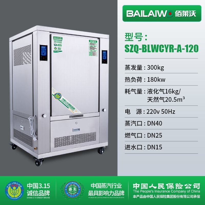 蒸汽发生器蒸气机燃气液化气煮豆浆豆腐烧水全自动工业锅炉酿酒|undefined