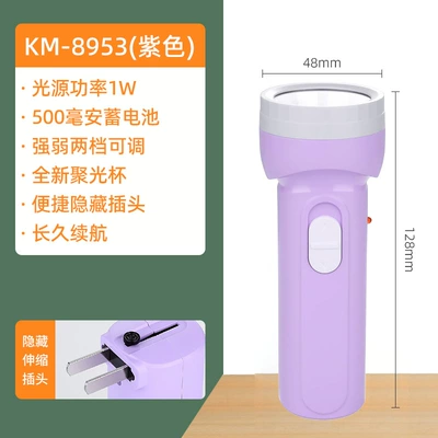 Outdoor Small Flashlight Emergency: UV fənərlər - flashlight-8953-purple