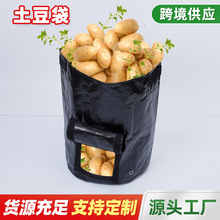 ������ ��ɫ�_�� �@ˇ�߲˷Nֲ���ϴ� ���⾎���� ֲ����L��