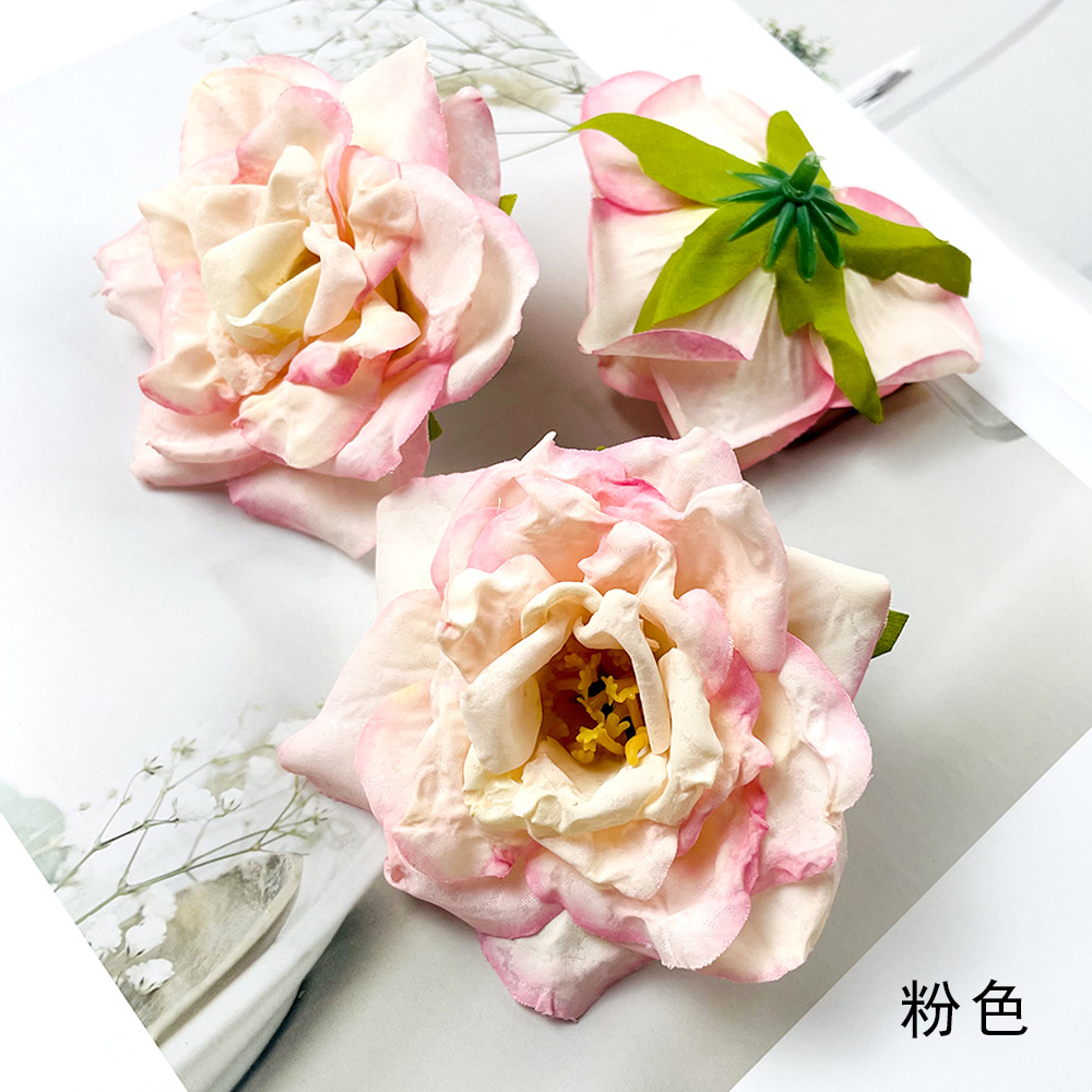 Rosa