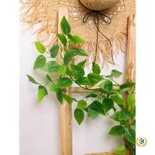 ?�ٗl���{�����b��ړ��Gֲ�������ϻ����ڳ���ˮ�ܵ��ٻ��G