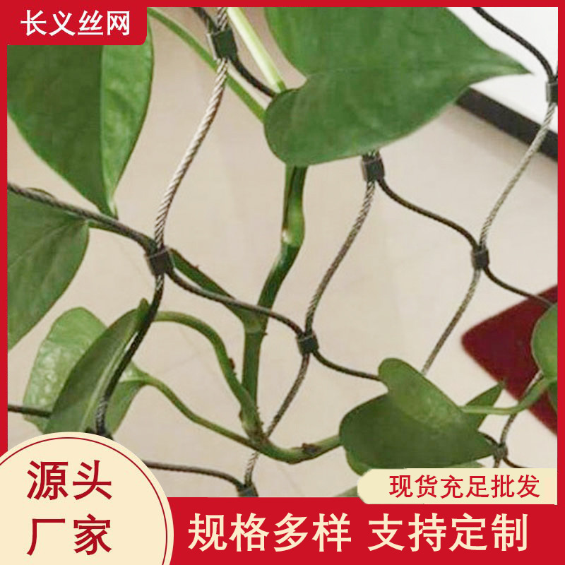 不锈钢绳网 植物攀爬网 墙体植物攀附网 柔性卡扣编织绳网爬藤网
