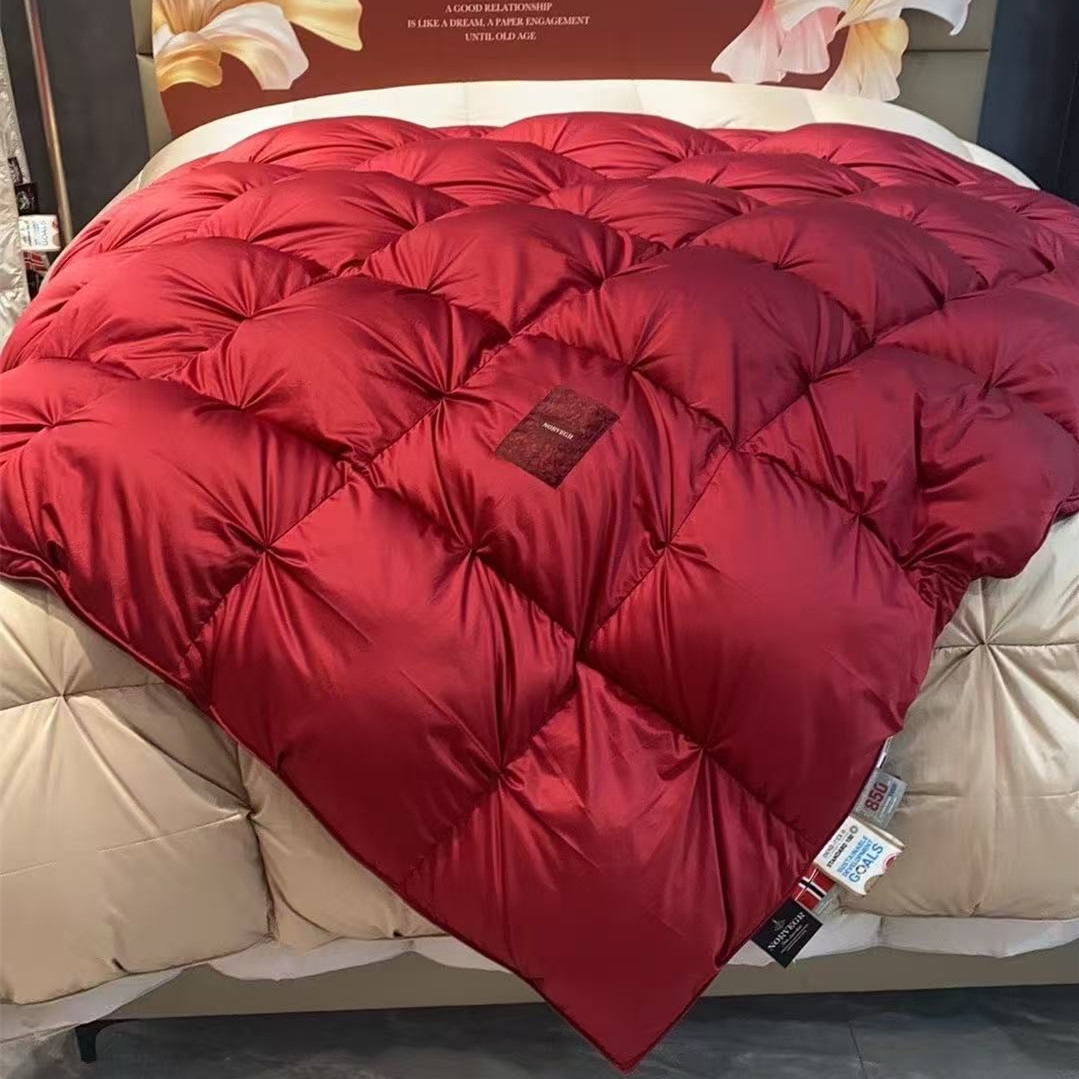 Cross-Border Export of down Quilt 95 White Goose down Quilt Core Winter Warm Thickeneded down Quilt Duck down Quilt Core for Wholesale