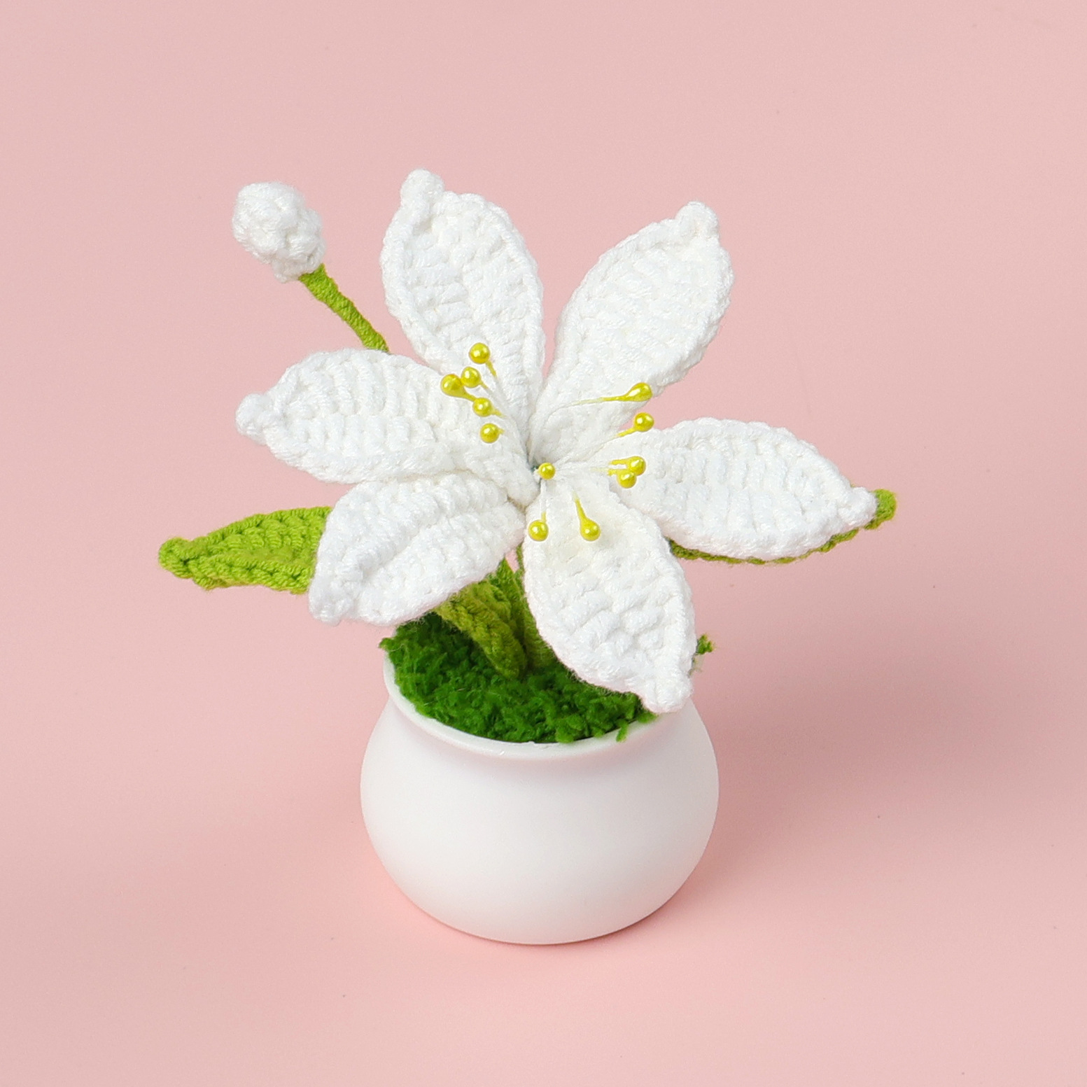 Orquídea de Marte - Blanco
