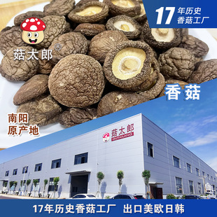 �㹽��؛�����ɼ���Ģ���a��ֱ���oĤ�㹽��׵�׸��㹽���؂䰸