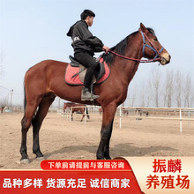 �T���R��c���RÓ�ذ��R��r����Сë�x���^�^�p���깩��