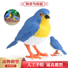 ΢���۰ڼ�����Ұ������ģ��ʵ�ķ��������С֪�������̶�ͯ��֪