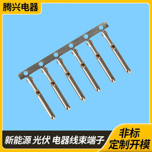 �S��ֱ�N����~�ܶ����p�T 3.0�A�ܶ���ע�ܹܠ����4.0�~�ܶ���