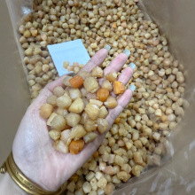 一德路批发干贝瑶柱批发淡干200头350头生晒海鲜干货500g煲粥大连