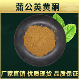 蒲公英黄酮  林洲生物 蒲公英提取物 蒲公英粉 UV检测 现货
