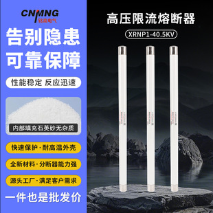 Minggao High-Voltage High-Segmentation Capacity Current-Limiting Fuse Xrnp1-40.5Kv 0.5/1/2A Factory Direct Sales