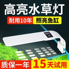 ~ןled쾰С͹ܸˮApˮˮݟ