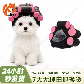 宠物头饰;宠物围巾;宠物帽子