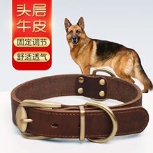 狗狗项圈狗脖套小型犬中型犬大型犬金毛德牧马犬黑背狼狗一件代发