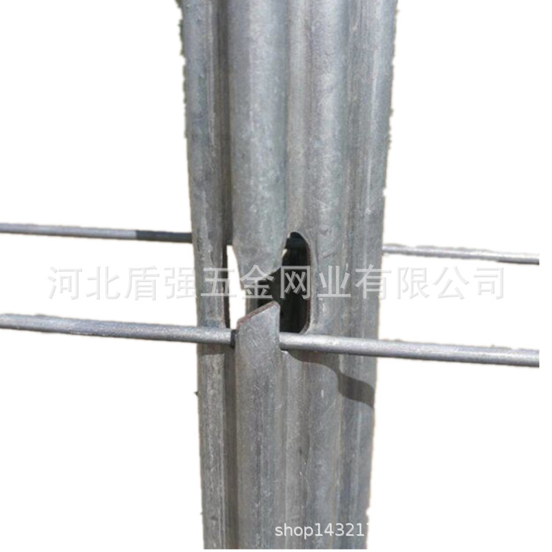 金属葡萄杆 现代果园镀锌钢葡萄桩非水泥柱 五味子非水泥柱