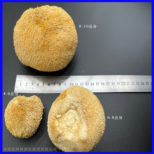 �����й��S��������^��500g���r��؛ɢ�b�ﹽ�������lʳ�þ����l