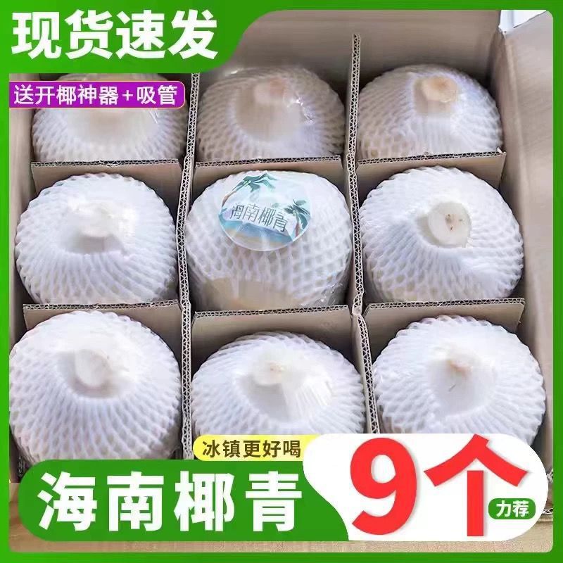 椰青海南特产椰子新鲜水果孕妇椰皇毛椰榨椰汁椰肉果香水椰现摘发