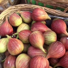 ��S���]�����t�o���������ЋDˮ�����r�o����С�����ļtƤ�o����